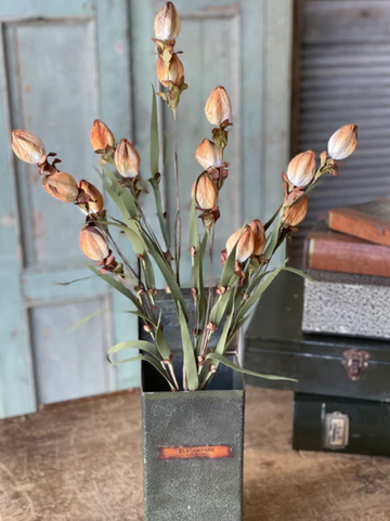 23" Lantern Buds Spray Ombre