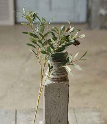 Olive Spray