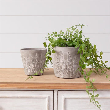 Lovely Embossed Lavender Pot