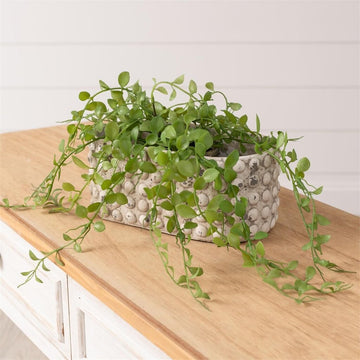 Dotted Oblong Planter