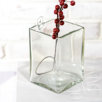 Square Glass Wall Planter