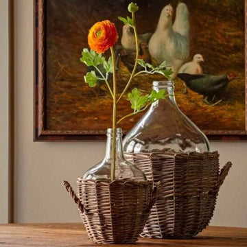 Ranunculus Orange Stem