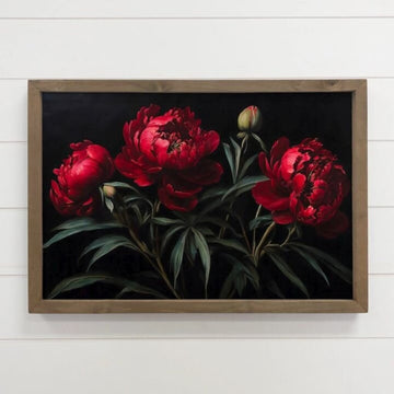 Dark Red Peonies Canvas Art
