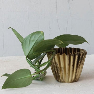 Brass Finish Fluted Planter
