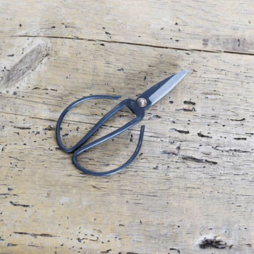 Black Plant Scissors