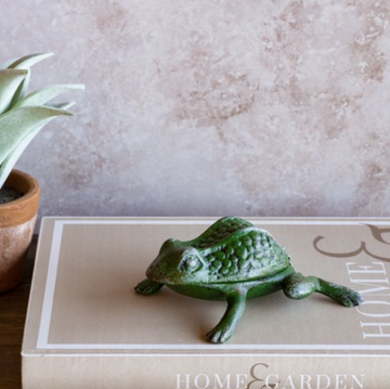 Green Frog Key Holder