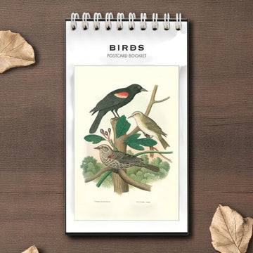 Birds Postcard Booklet