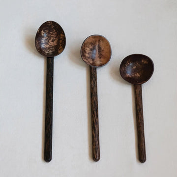 Coconut Shell Spoon