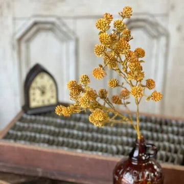 Golden Russet Cone Spray
