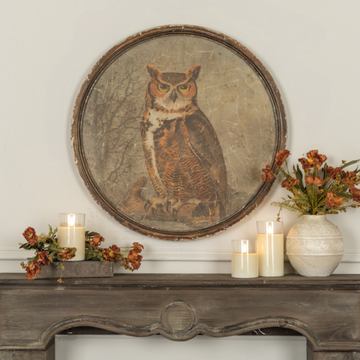 Great Round Horned Owl Print