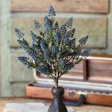 Blue Fenwick Buds Bush