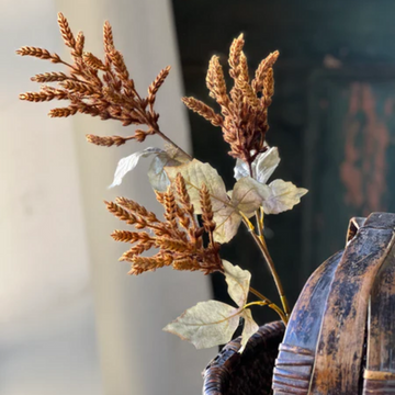 Cider Castaway Cattails
