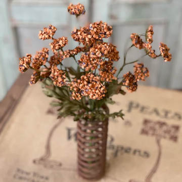 Pumpkin Fennel Flower Bundle
