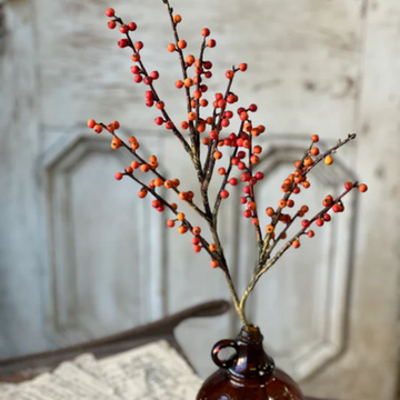 Orange Clipper Berry Spray