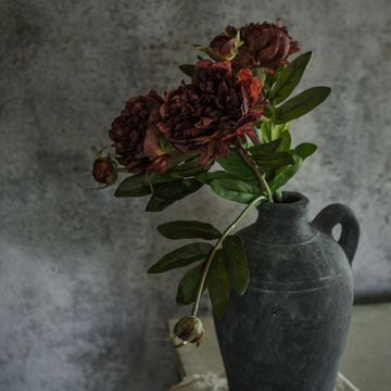 Burgundy Peony Spray - 19"