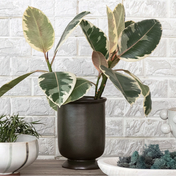 Green Reactive Glaze Stoneware Vase