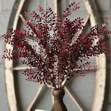 Red Ruta Rue Bush 18"