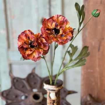 Fanfare Blooms- Inferno