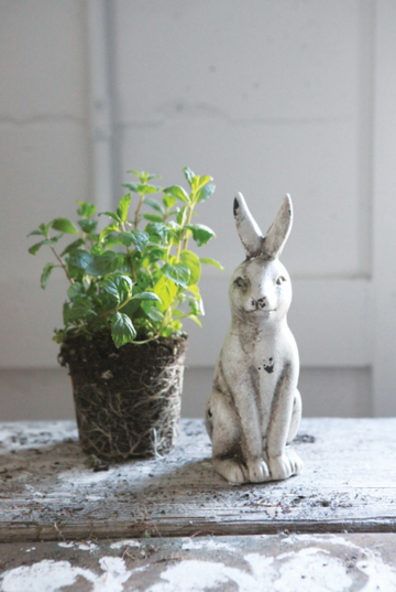 Distressed Ceramic Cream Rabbit