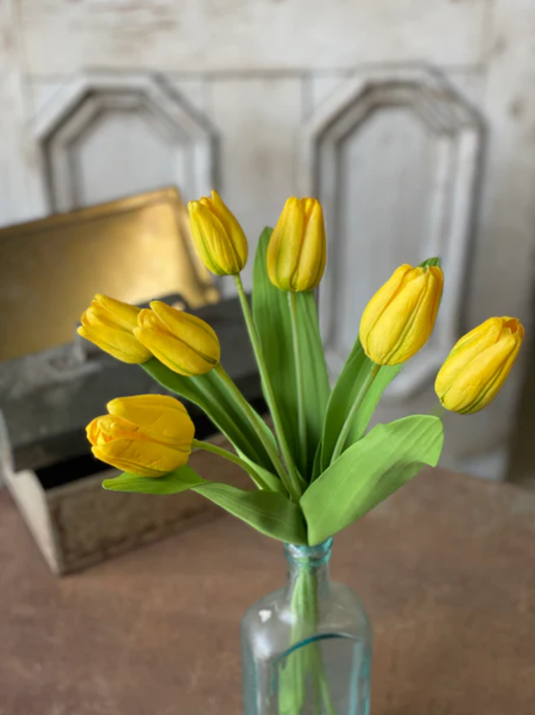 Yellow Tulip Bundle