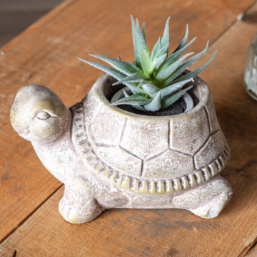 Cement Turtle Pot