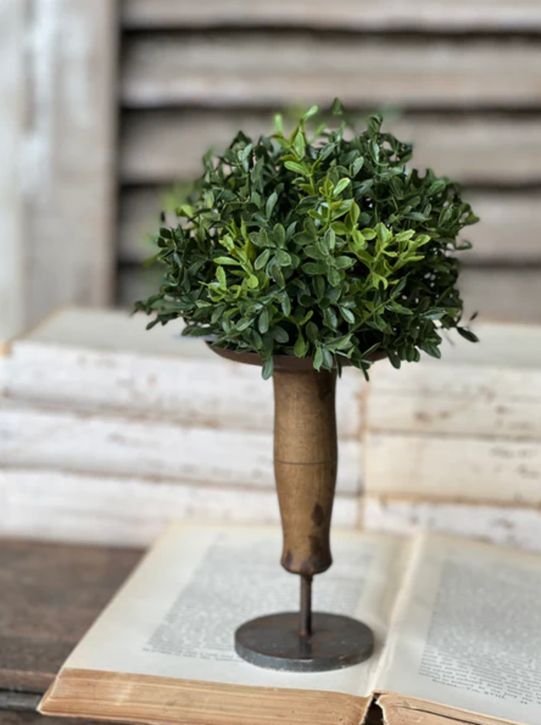 New England Boxwood Half Sphere