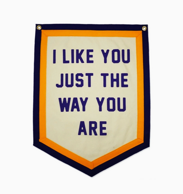 I Like You Just The Way You Are Flag