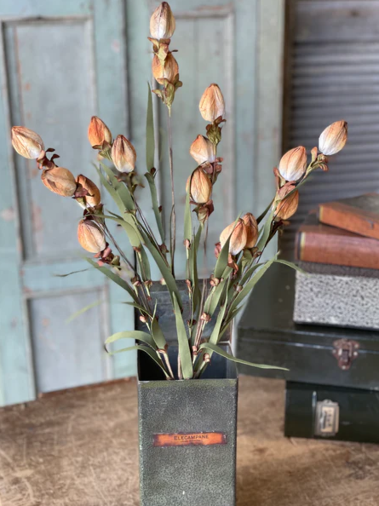 23" Lantern Buds Spray Ombre