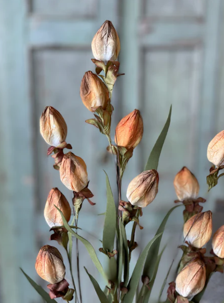 23" Lantern Buds Spray Ombre