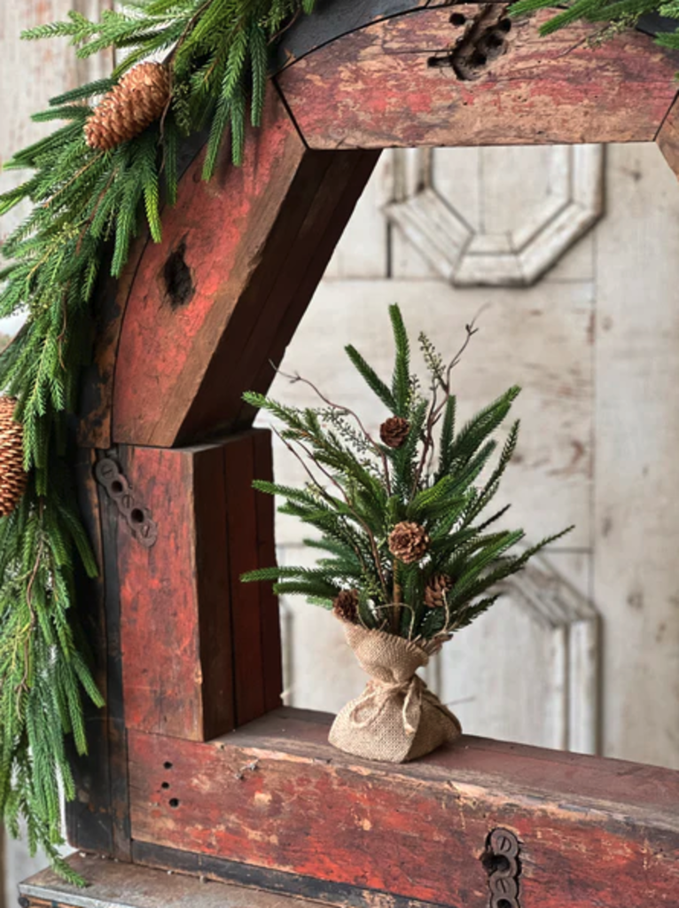 Pencil Pine Tree