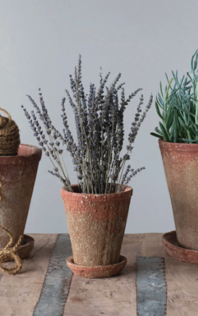 5" Distressed Cement Planter w/ Saucer