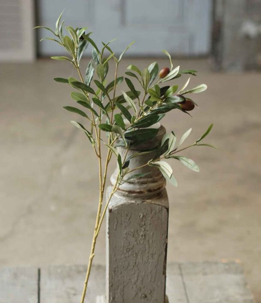 Olive Spray