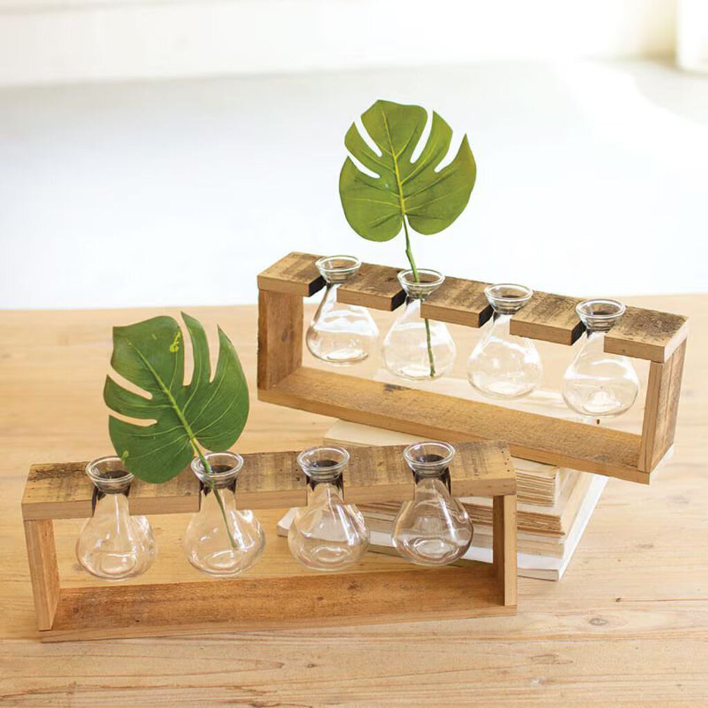 Four Glass Bud Vases in Wood Stand