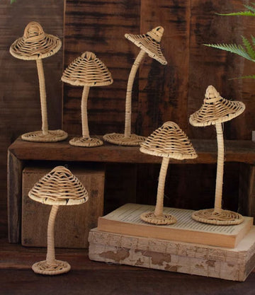 Rattan Mushroom
