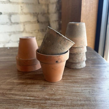 Small European Terracotta Pot