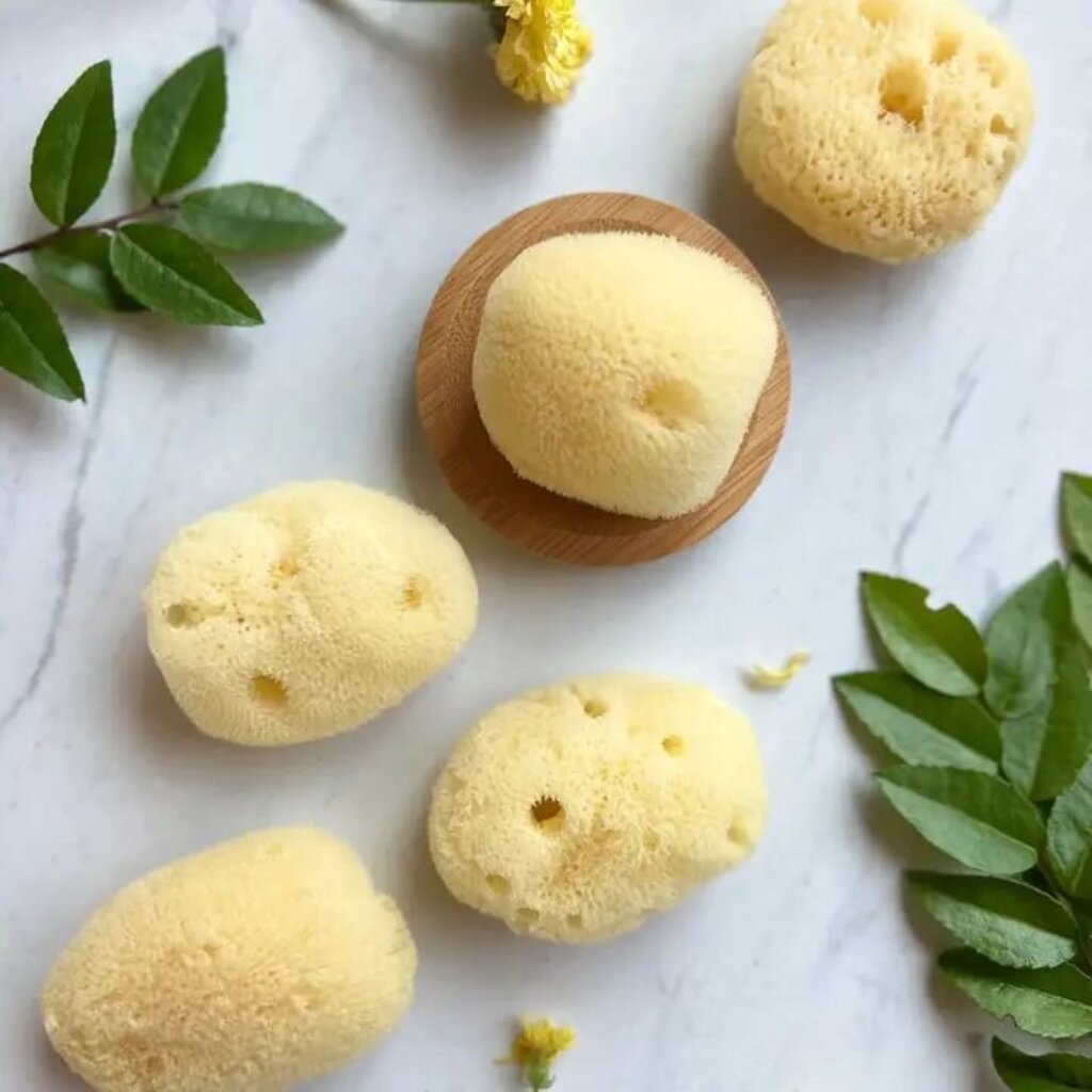 Natural Facial Silk Sea Sponge