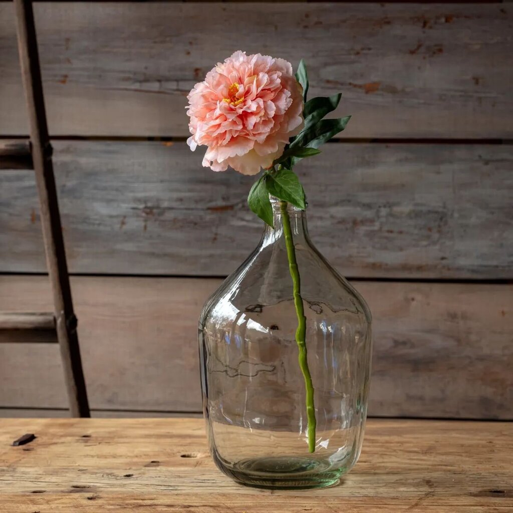 Peony Citrus Stem