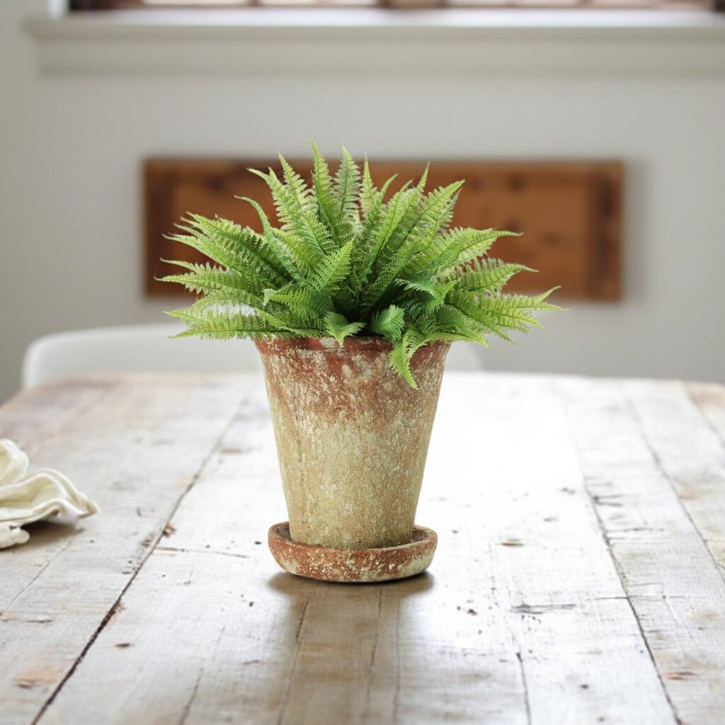 7" Distressed Cement Planter + Saucer
