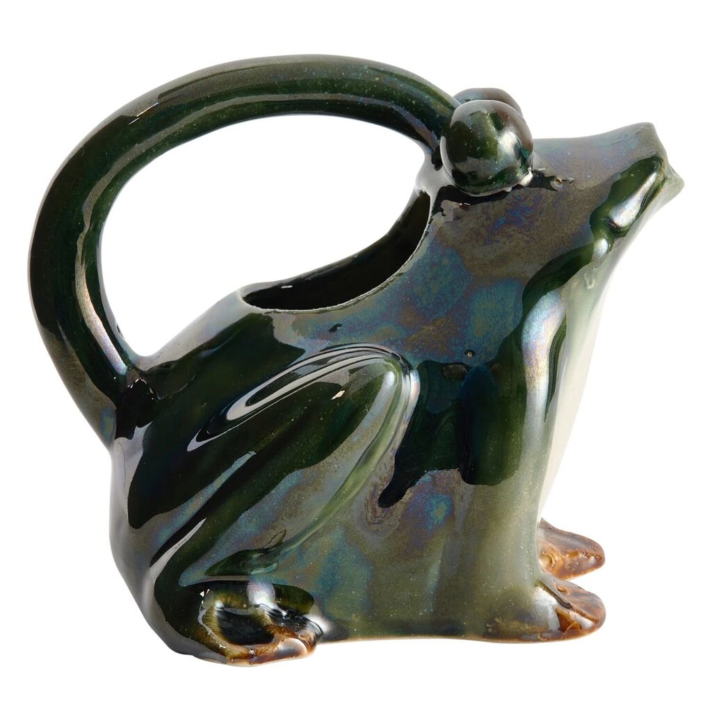 Awesome Frog Watering Pitcher