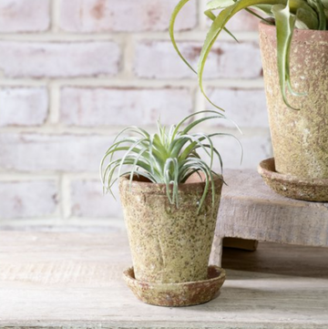 Distressed Sand/Terracotta Pot - 5"