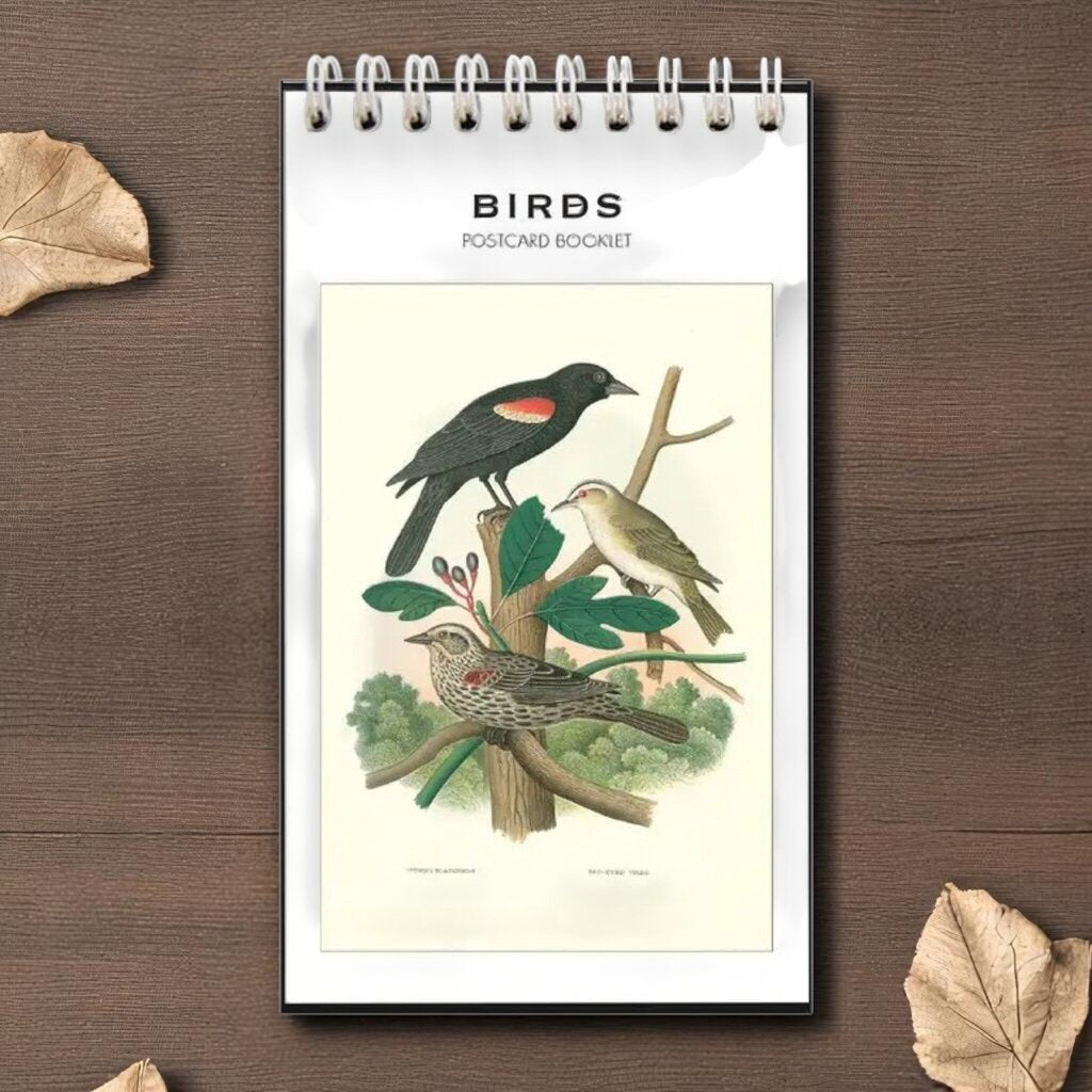 Birds Postcard Booklet