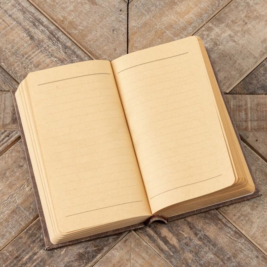 American Biography Journal