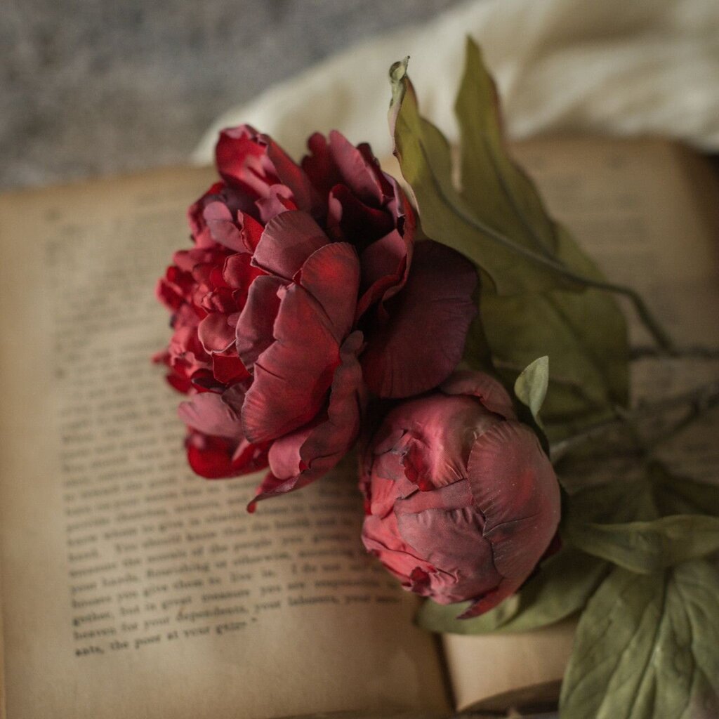 Red Dried Rose & Bud Spray