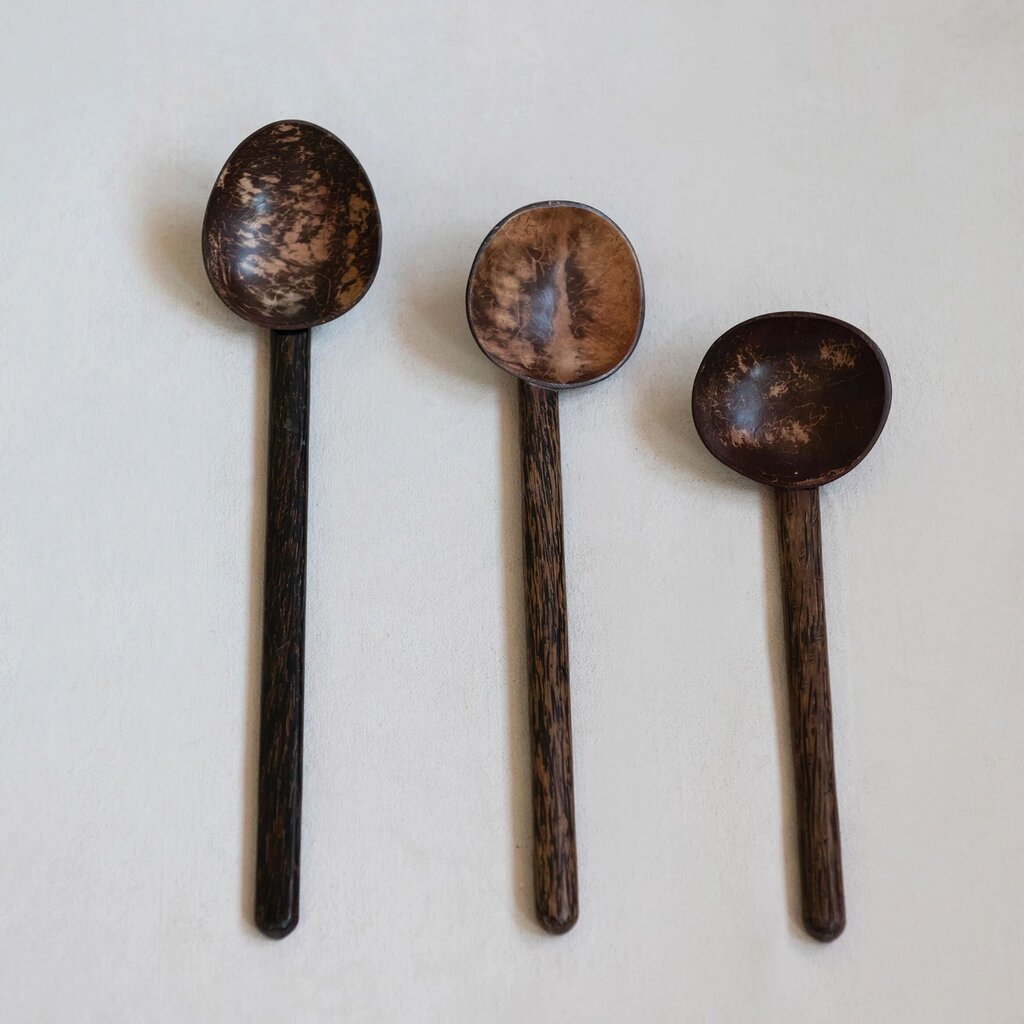 Coconut Shell Spoon