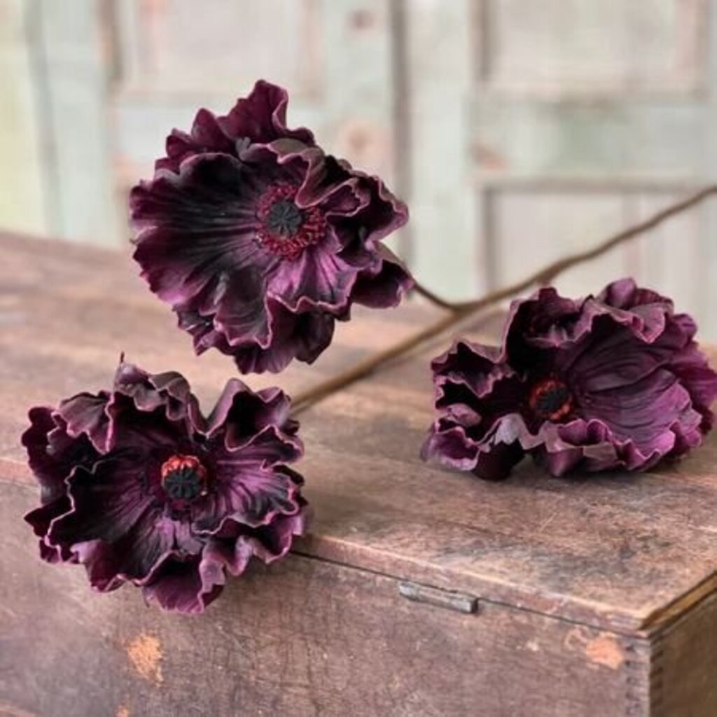 Deep Purple Pomelo Poppy