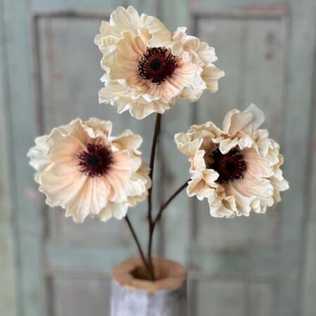 Dawning Pomelo Poppy