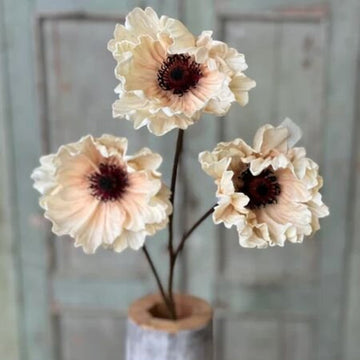 Dawning Pomelo Poppy