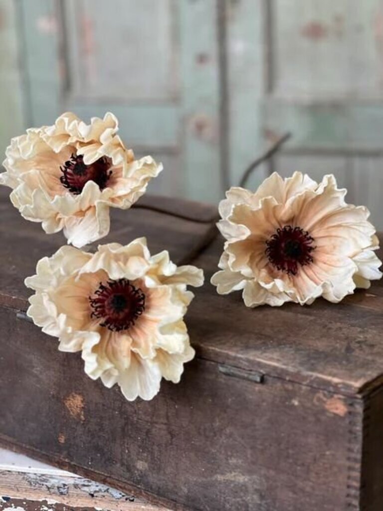 Dawning Pomelo Poppy