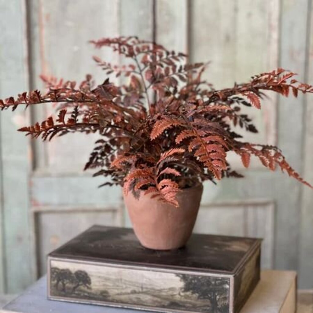 Russet Potted Fern