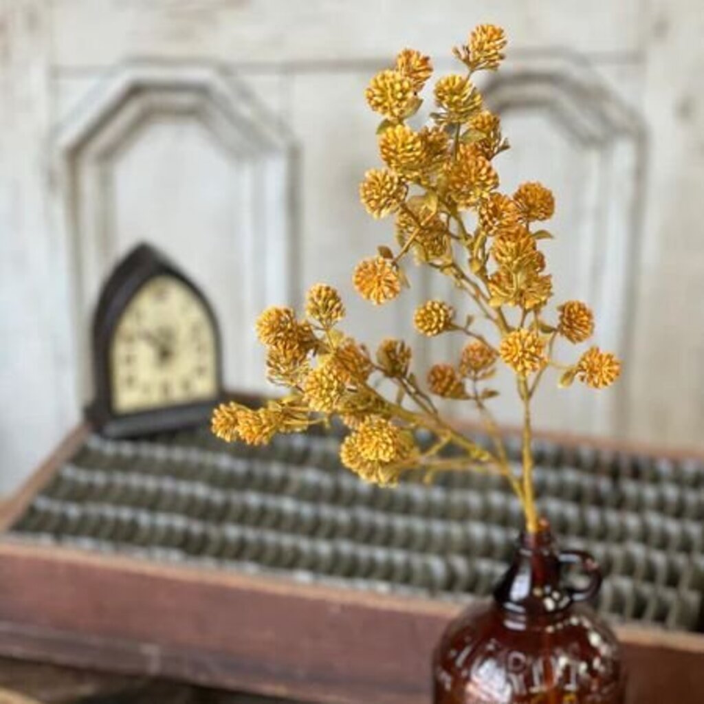 Golden Russet Cone Spray